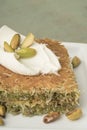 Closeup Turkish dessert kadayif with pistachio