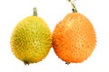Closeup of twin orange and green Baby Jackfruit on white background