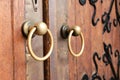 Closeup of two antique copper ornate door knockers over an aged wooden door.