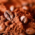 Closeup of two coffee beans at roasted coffee heap macro shot Royalty Free Stock Photo