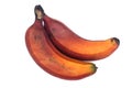 Red Caribe Bananas Royalty Free Stock Photo