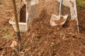 Closeup of two dirty shovels in a soil land at a garden digging