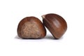 Closeup two fresh chestnuts Royalty Free Stock Photo