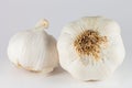 Closeup of two garlic bulbs isolated on white background Royalty Free Stock Photo