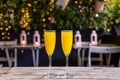 Closeup of two glasses of orange juice Royalty Free Stock Photo