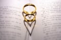 Closeup of two golden engagement rings forming a shadow of a heart on the open holy bible Royalty Free Stock Photo