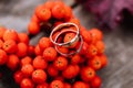 Closeup of two golden wedding rings resting on orange fruit with a blurry background Royalty Free Stock Photo