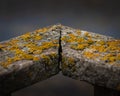 Closeup of two Maritime sunburst lichen-covered wooden corner blocks