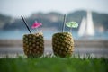 two pinacolada cocktail on a pineapple on river background