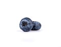 Closeup of two ripe blueberries on a white background. Royalty Free Stock Photo