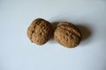 Closeup of two ripe brown rounded fruits of Persian walnut