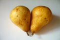 Closeup of two ripe vibrant yellow fruits of pear