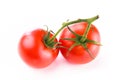 Closeup of two shiny fresh red round tomatoes Royalty Free Stock Photo