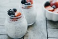 Closeup Two small jars of chia pudding, yogurt and fresh fruits Royalty Free Stock Photo