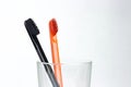 Closeup of two toothbrushes in a glass beaker. For men and women Royalty Free Stock Photo