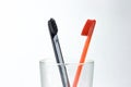 Closeup of two toothbrushes in a glass beaker. For men and women Royalty Free Stock Photo