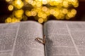 Closeup of Two Wedding rings on a Bible with bokeh golden background Royalty Free Stock Photo