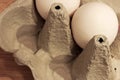 Close up on an open egg tray with two white eggs Royalty Free Stock Photo