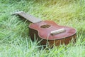 Closeup ukulele on grass background. Royalty Free Stock Photo