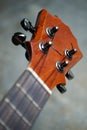 Closeup of ukulele headstock