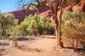 Closeup of Uluru in Northern Territory Australia Royalty Free Stock Photo