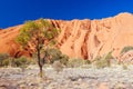 Closeup of Uluru in Northern Territory Australia Royalty Free Stock Photo