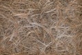 Closeup underside mat overgrown roots mold background