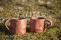 Closeup of unique handmade two cups with folk signs on green moss in summer sunset sunlight before kiln Royalty Free Stock Photo