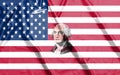 Closeup of United States of America flag with portrait George Washington Royalty Free Stock Photo