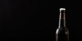 Closeup of a beer bottle isolated on black background Royalty Free Stock Photo