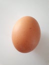 Closeup of a unpealed boiled egg on a light background