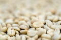 Closeup of unroasted coffee grains