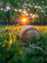 Baseball Grass Field Closeup Ball Seams Ground Summer Sunlight Sports Player Royalty Free Stock Photo