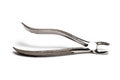 Closeup used pliers tearing teeth white background
