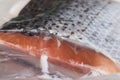 Vacuum-packed portion of salmon