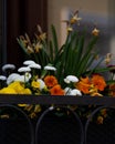 Closeup of a variety of colorful flowers near the window with a blurry background Royalty Free Stock Photo