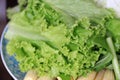 Closeup variety vegetable in the dish, include lettuce, baby corn, morning glory.