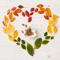 Closeup of various autumn colorful leaves in heart shape and bowl in Christmas tree shape with almond nuts on white wooden