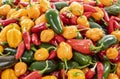 Various Kinds of Colorful Spicy Peppers Royalty Free Stock Photo