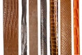 Closeup of various leather belts