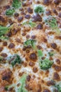 Closeup of a vegan pizza. Pizza with broccoli