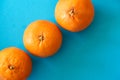 Vertical row of three blood oranges on blue background