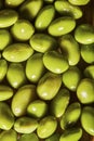 Closeup vertical shot of edamame beans bunch Royalty Free Stock Photo