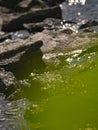 Closeup vertical shot of green seawater with irregular rock pieces