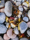 Closeup vertical shot of a pile of pebble stones on a Molen beach in Norway Royalty Free Stock Photo