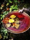 Closeup vertical shot of reflective water in an old metal water tub with autumn fallen leaves Royalty Free Stock Photo