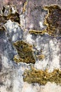 Closeup very old rusty cement wall Royalty Free Stock Photo