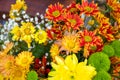 Closeup of a vibrant bouquet of flowers Royalty Free Stock Photo