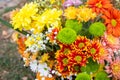 Closeup of a vibrant bouquet of flowers