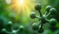 Closeup vibrant green molecular structure illuminated by sunlight. Bokeh effect highlights natural background. Image connection